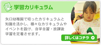 学習カリキュラム