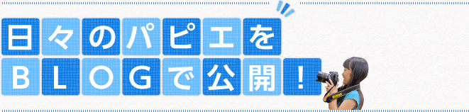 日々のパピエをBLOG配信！
