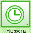 パピエの1日