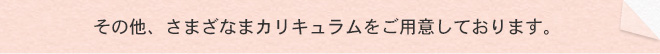 その他、さまざなまカリキュラムをご用意しております。